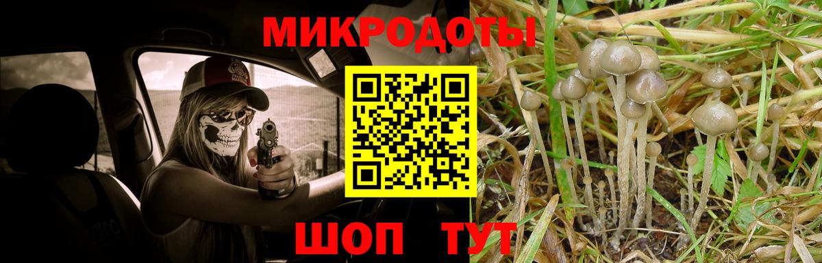 Москва  Галлюциногенные грибы Magic Shrooms  Вход с VPN  как найти закладки  Псилоцибиновые грибы мухоморы 