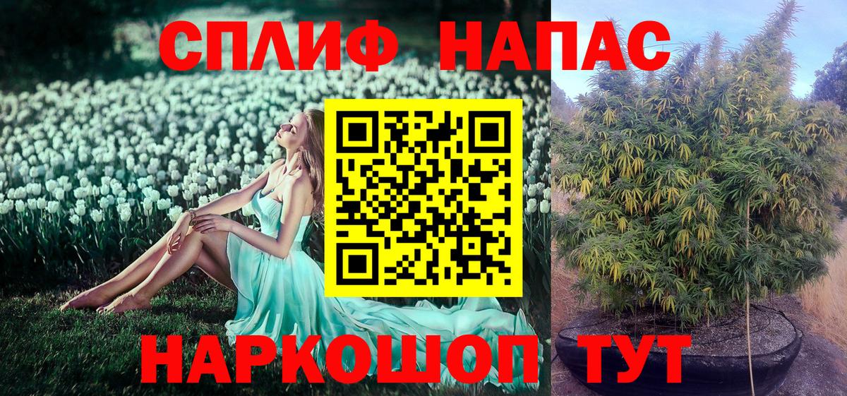 Москва  Каннабис ГИДРОПОН  Марихуана семена  Вход с VPN  Канабис Amnesia  Бошки Шишки план 